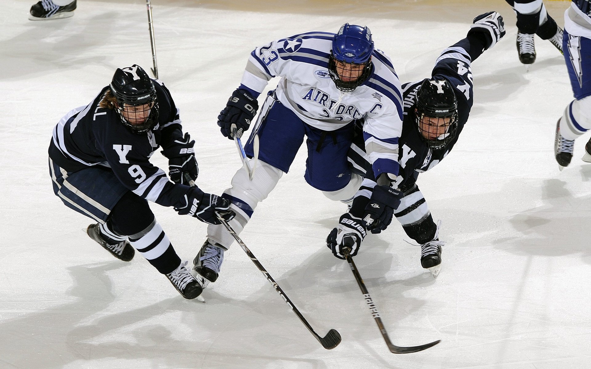 开云体育ios下载-法甲“潜力新星”引发关注，未来之星渐露峥嵘，门将未来之星